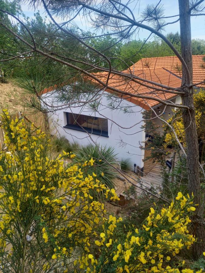 Cot'& Dune - Lodge D'Hote & Spa De Nage Saint-Augustin  Kültér fotó